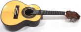 Cavaco Profissional Giannini Luthieria Maciço Acústico C Case Usado