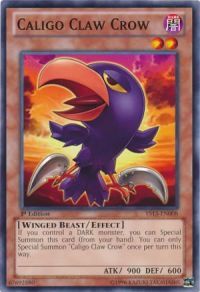 Caligo Claw Crow YS13-EN008