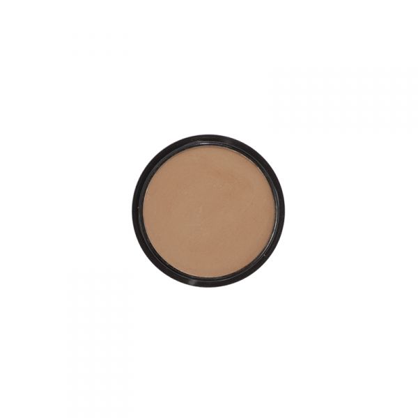 8856 SHINE COLOURS - DUO CAKE MÉDIA