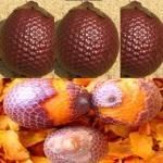 Óleo De Buriti Amazonico -litro