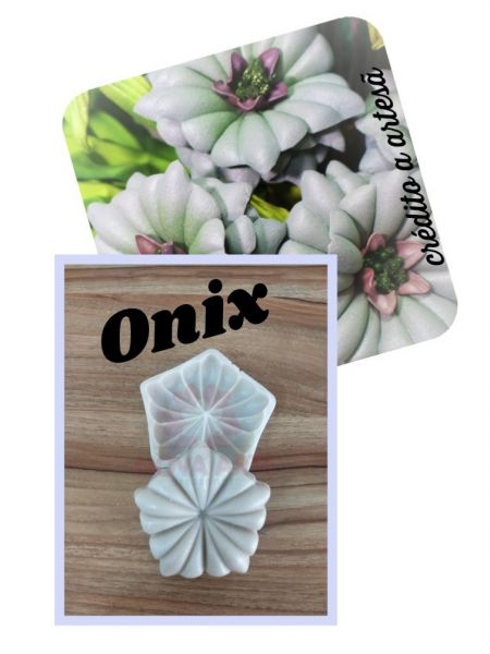Onix (n-491)