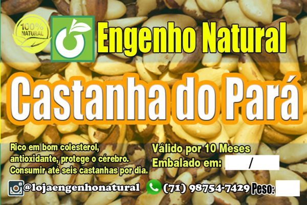 Castanha do Pará 100 Gramas