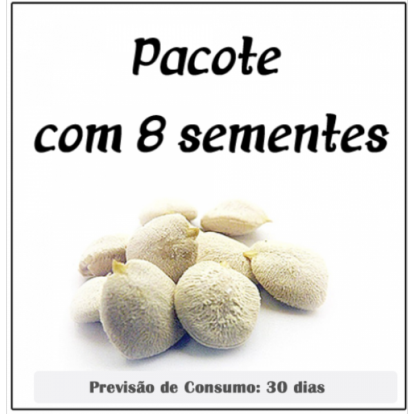 Kit noz da india c/8 sementes