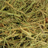 Melão de São Caetano 100g