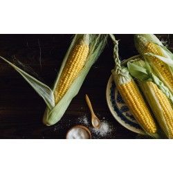 YELLOW CORN GMO & NON GMO