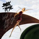 BLACK ROSE - Walk It How You Talk It