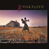 CD PINK FLOYD - A Collection of Great Dance Songs