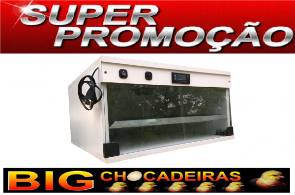 Chocadeira 90 Ovos, Viragem Automática 24 Mezes De Garantia 220v