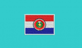 Banderia do Paraguay - pequena para manga