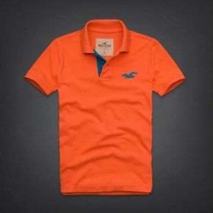 Camiseta Polo Hollister - C/ Detalhe - Masculino