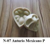 Anturio Mexicano P(n-07)