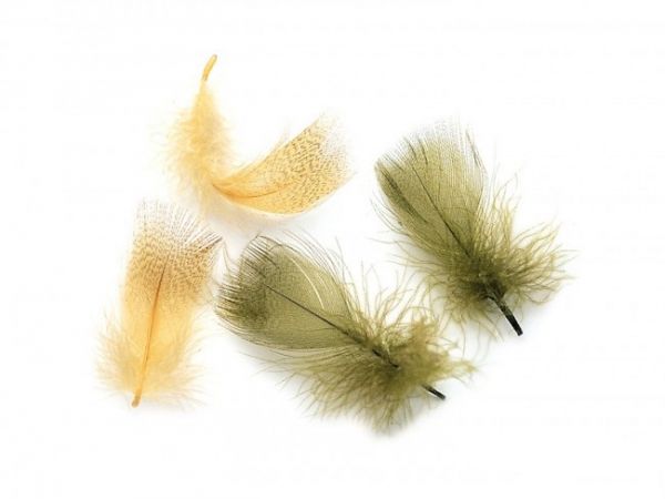 MD - MALLARD DUCK DRAKE ROUND BREAST (Natural)