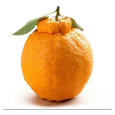Tangerina Dekopon enxertada
