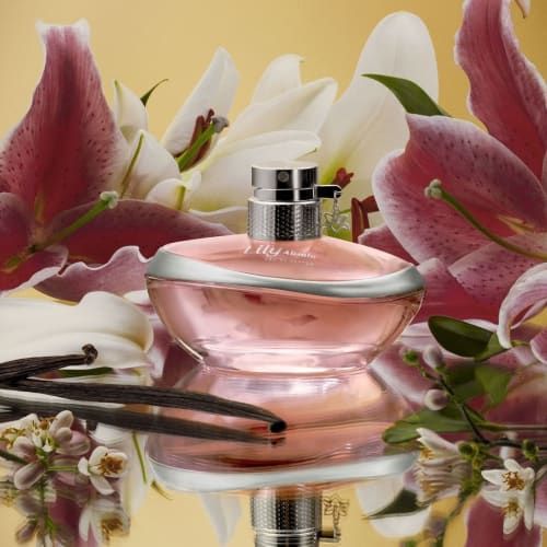 LILLY ABSOLU