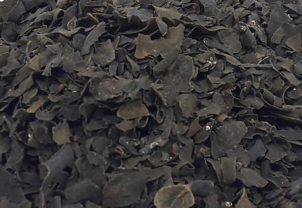 Fucus 100g