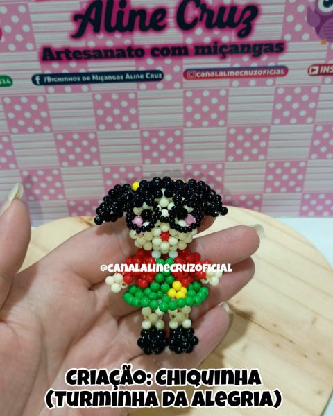 VIDEO AULA SEU CHIQUINHA