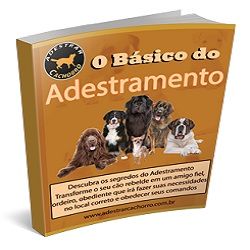 *ADESTRAR SEU CÃO*