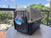 CAIXA DE TRANSPORTE DE ANIMAIS