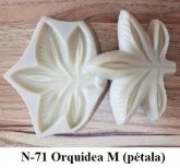 Orquídea M pétala(n-71)
