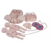Simulador de parto com Dois Fetos e Placenta CS/SK0051