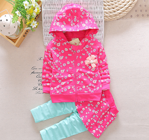 Conjunto Ludmila Hoodies Floral Cod 698