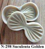 Suculenta Golden (n-298)