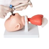 Simulador P/ Treino de Intubação Bebê-CS/AT/TGD-4007-B