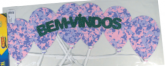 BEM VINDOS