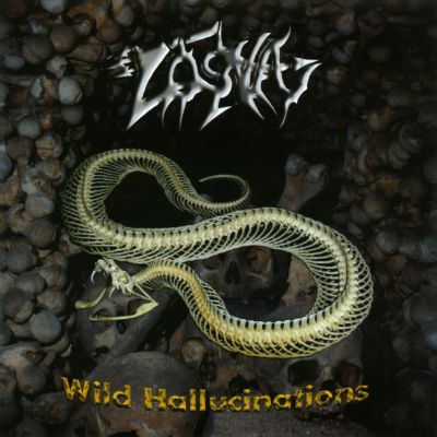 LOSNA - Wild Hallucinations