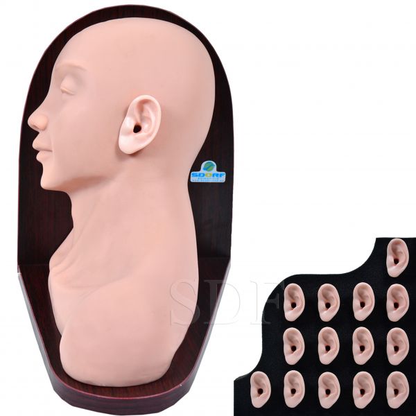Simulador Avançado P/ Exame Otológico-CS/SD-4042