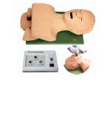 Simulador P/ Treino de Intubação Adulto Eletrônico -CS/SK 0040