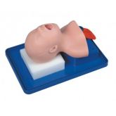 Simulador para Treino de Intubação Neonatal CS/SK0041