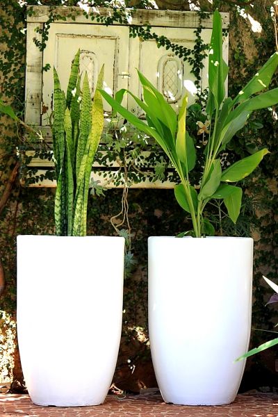 Vaso Estilo Cimento Leve