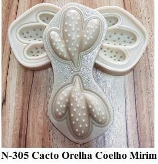 Cacto Orelha Coelho Mirim (N-305)