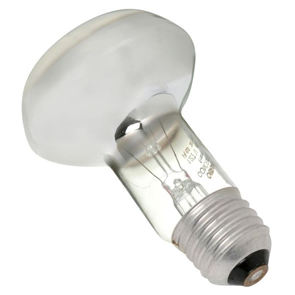 Lâmpada Incandescente Osram Refletora 60W Amarela 250V (220V)  - Código do produto: 87461626