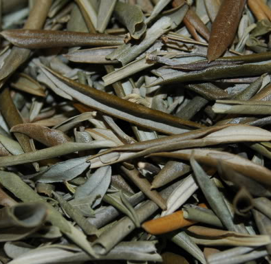 Oliveira 100g