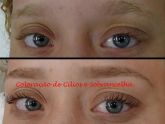 Aula de Coloração de Cílios e Sobrancelha