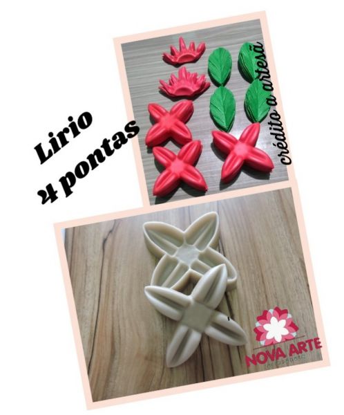 Lírio 4 pontas
