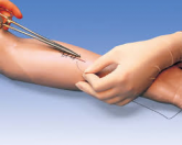Braço para Práticar Suturas Cirúrgicas - CS/SK -LF 01028U