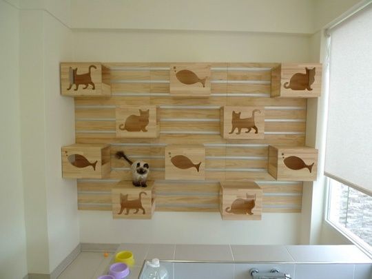 Poleiro tipo Quadro