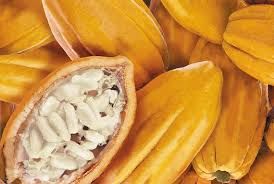 Polpa de Cacau 1 Kg