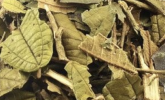 Canela de Velho 100g