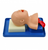 Simulador P/ Treino de Intubação Bebê-CS/SD-4006