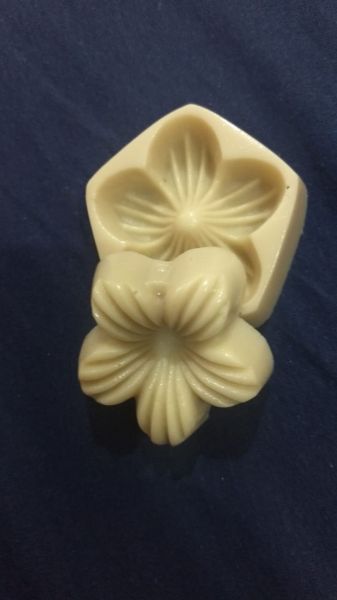 Flor estrela americana