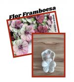 Flor da framboesa(n-488)