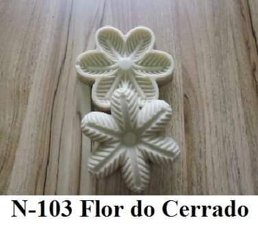 Flor do Cerrado(n-103)