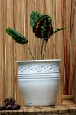 Vaso Cônico Branco