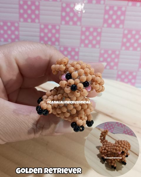 VIDEO AULA GOLDEN RETRIEVER