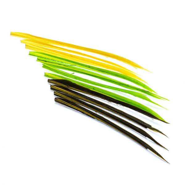 TBS - TURKEY BIOTS STRIPS (Black)