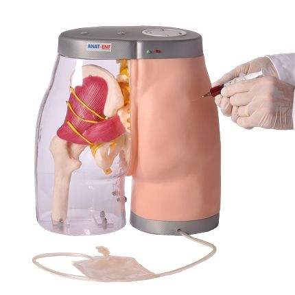 Simulador de Injeção Intramuscular no Glúteo-CS/AT/TGD-4009-C